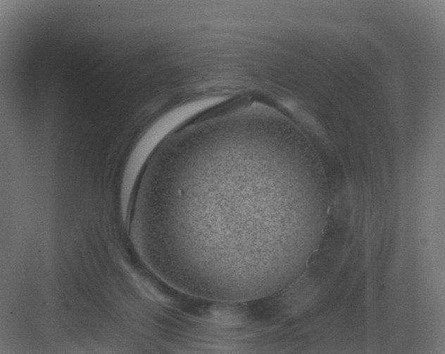 X0000082990070200702081845