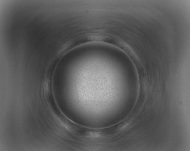 X0000082990071200702081845