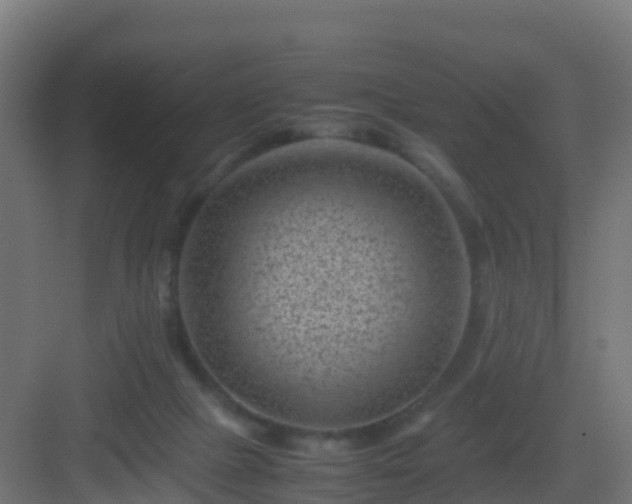 X0000082990073200702081845