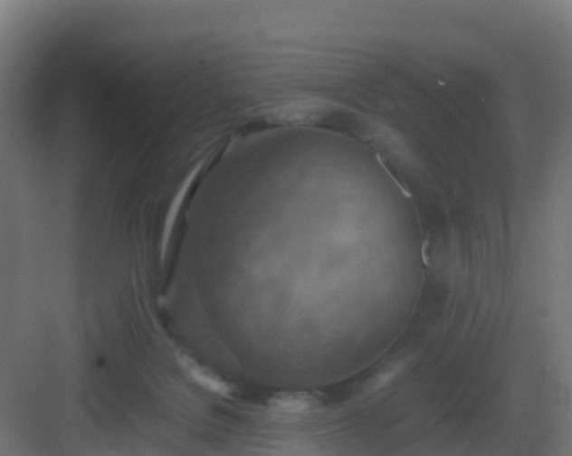 X0000082990076200702081845