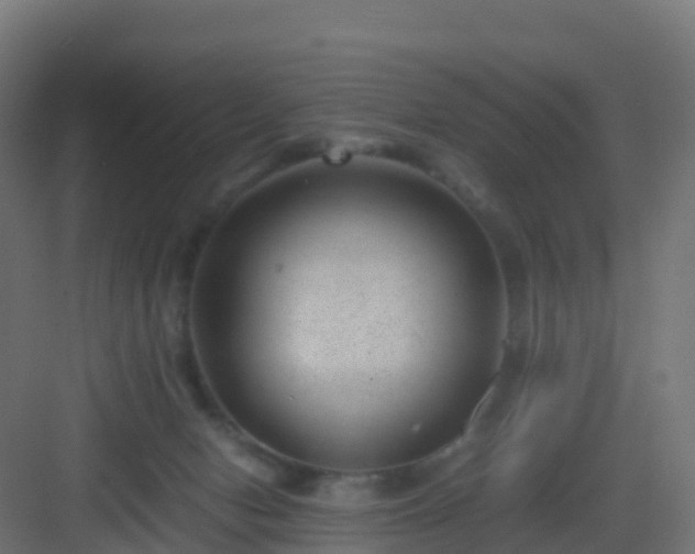 X0000082990078200702081845