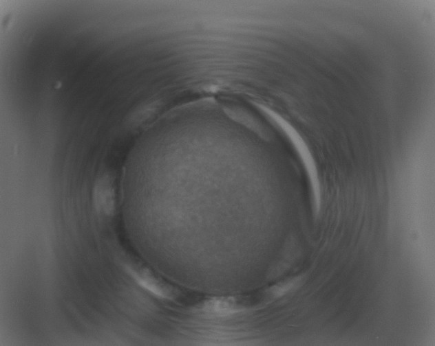 X0000082990080200702081845