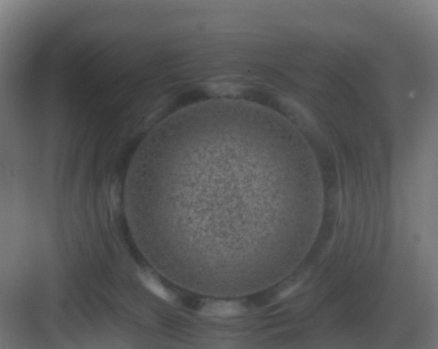 X0000082990081200702081845