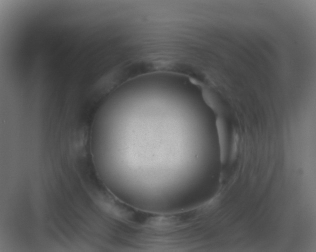 X0000082990082200702081845