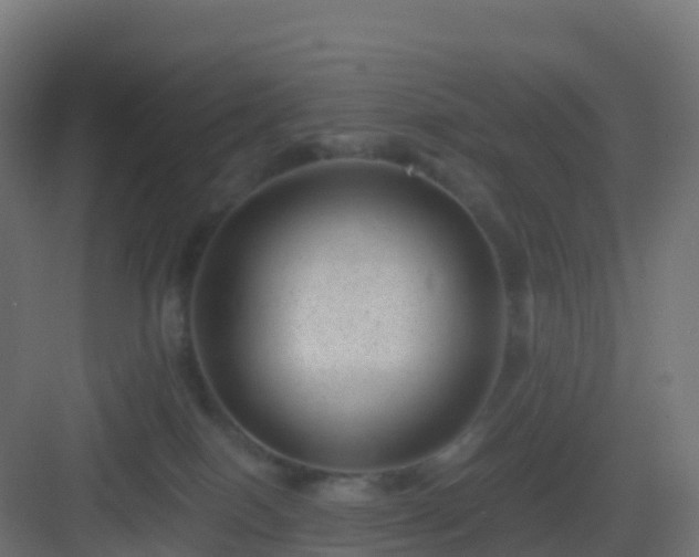 X0000082990086200702081845