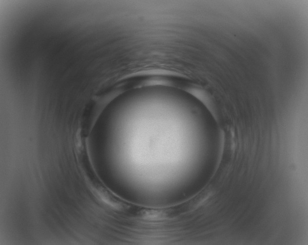 X0000082990088200702081845