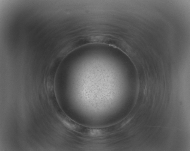 X0000082990091200702081845