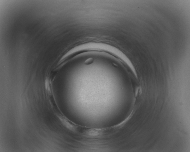 X0000082990094200702081846