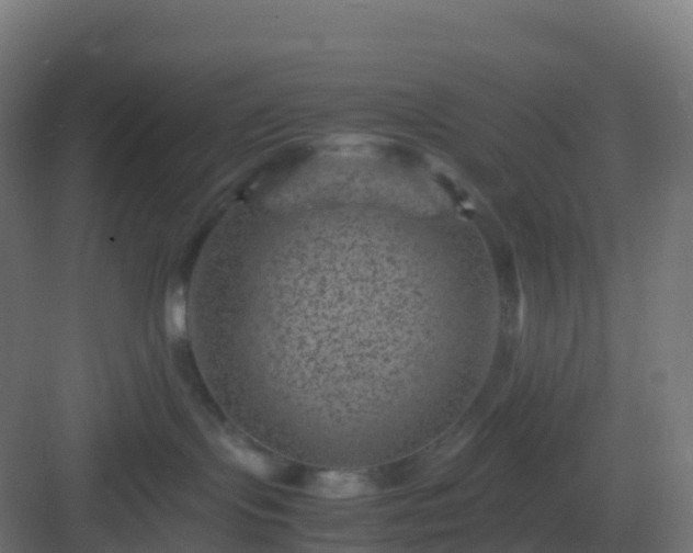 X0000082990095200702081846