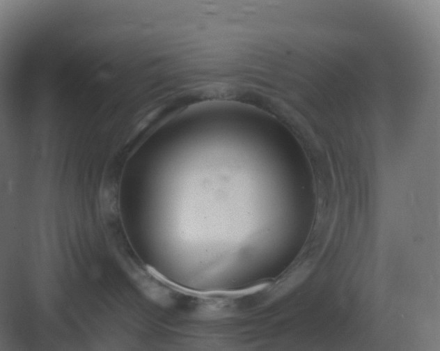 X0000082990096200702081846