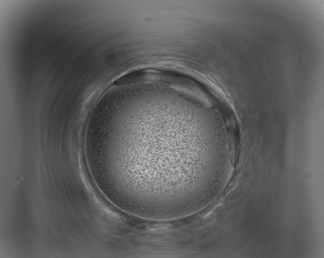 X0000082990097200702081845