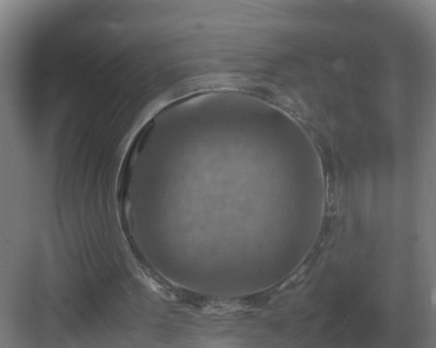 X0000082990099200702081845