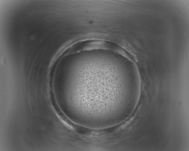 X0000082990101200702081845