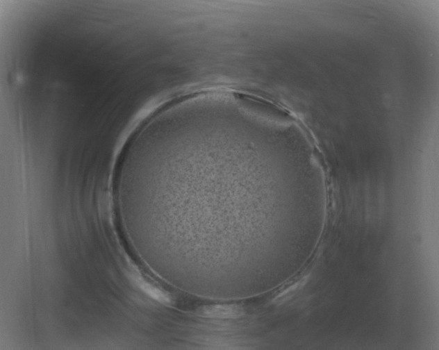 X0000082990102200702081845