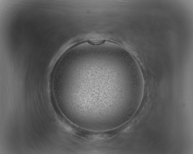 X0000082990103200702081845