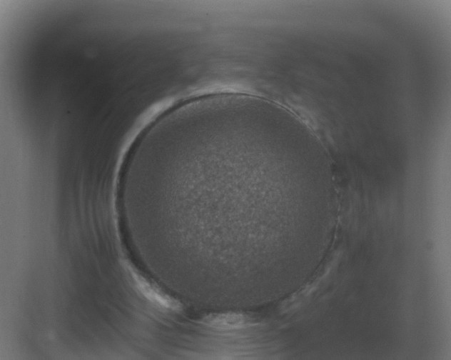 X0000082990104200702081845