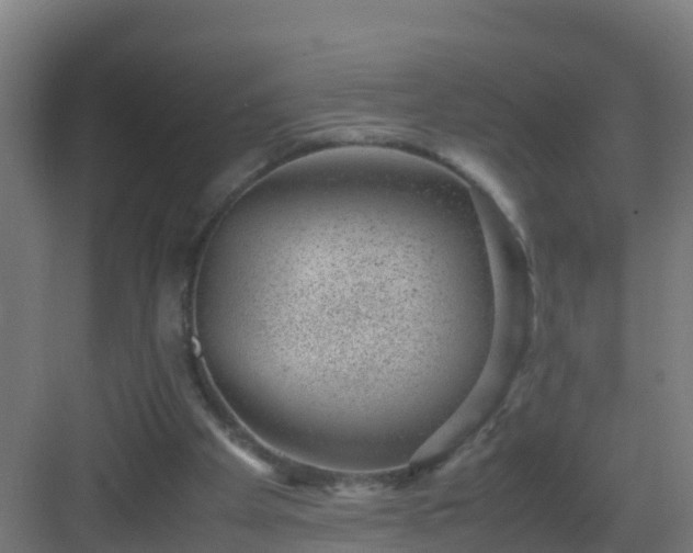 X0000082990105200702081845