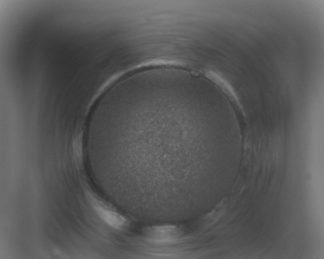 X0000082990108200702081845