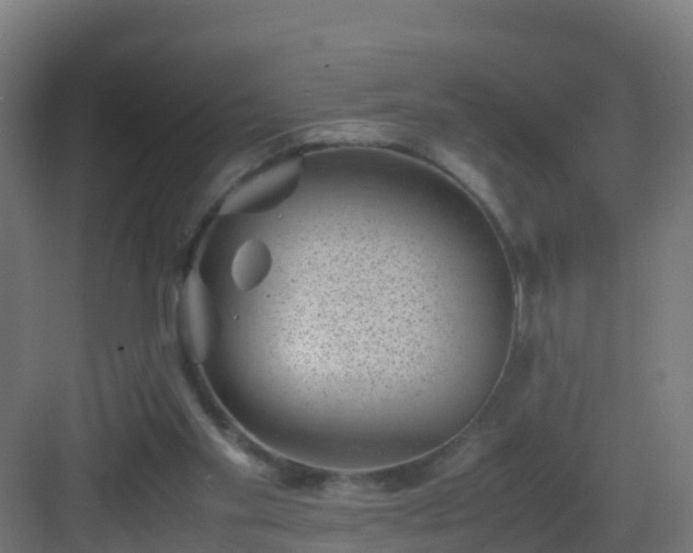 X0000082990109200702081845