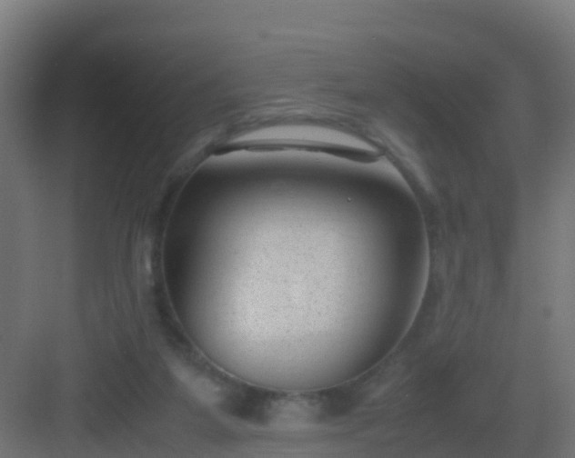 X0000082990115200702081844