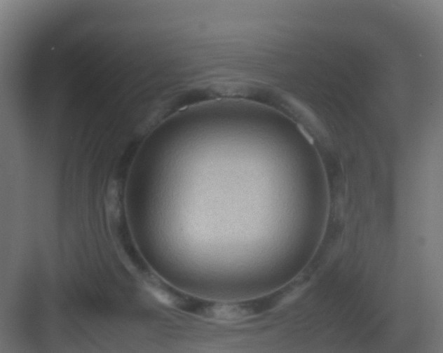 X0000082990121200702081844