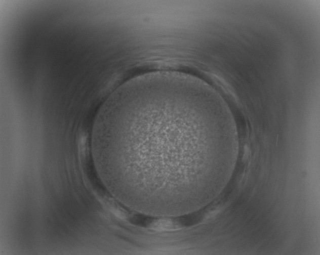 X0000082990123200702081844