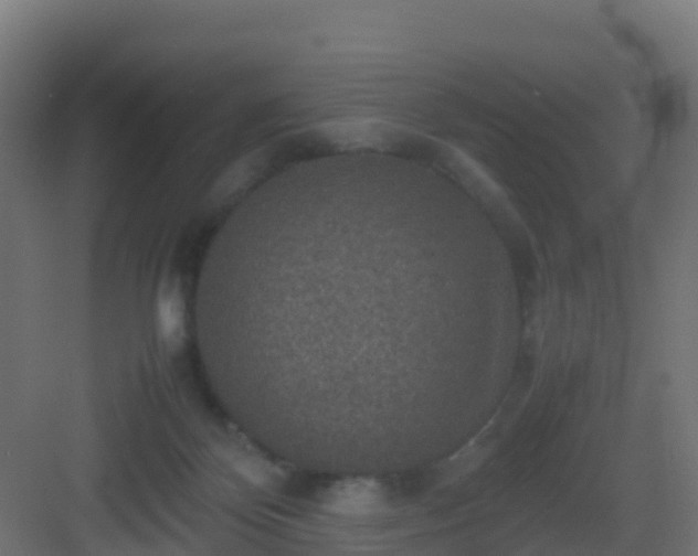 X0000082990124200702081844