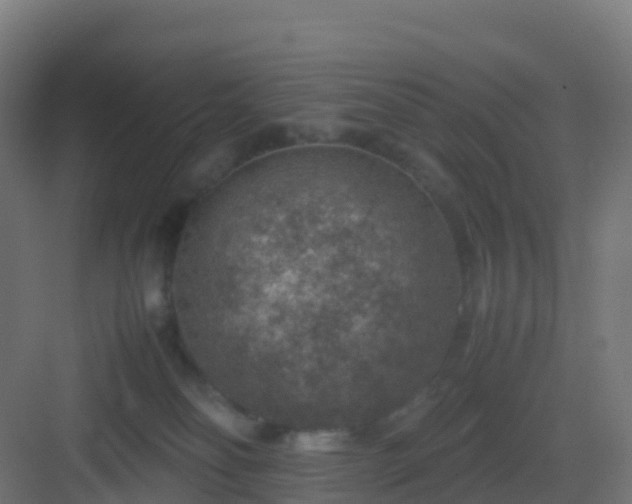 X0000082990134200702081844