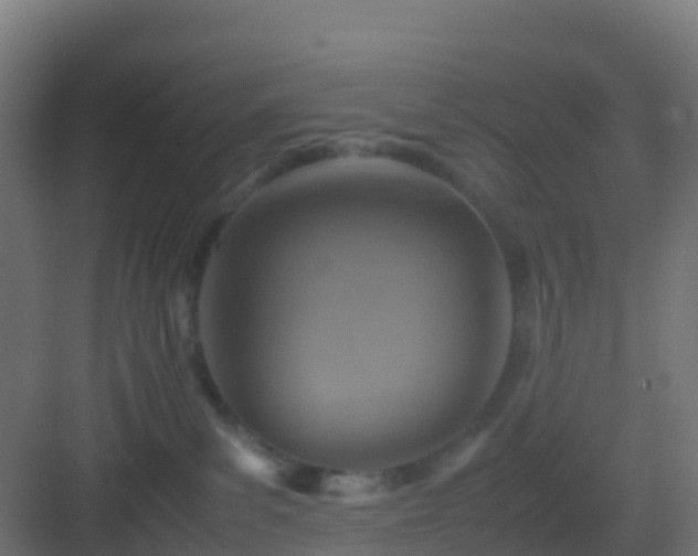 X0000082990139200702081844