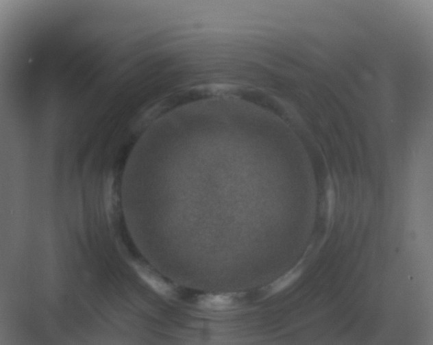 X0000082990140200702081844