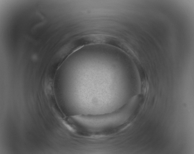 X0000082990141200702081844