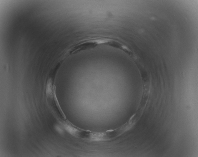 X0000082990143200702081844