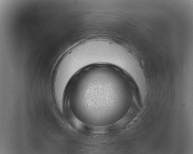 X0000082990146200702081843