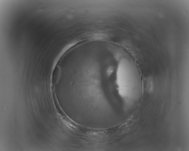 X0000082990147200702081843