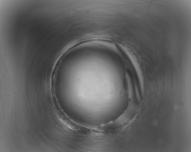 X0000082990148200702081843