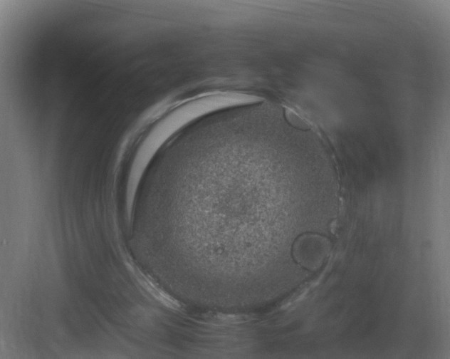 X0000082990149200702081843