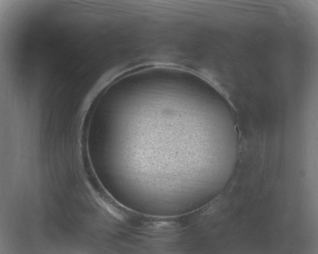 X0000082990151200702081843