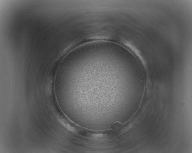 X0000082990153200702081843