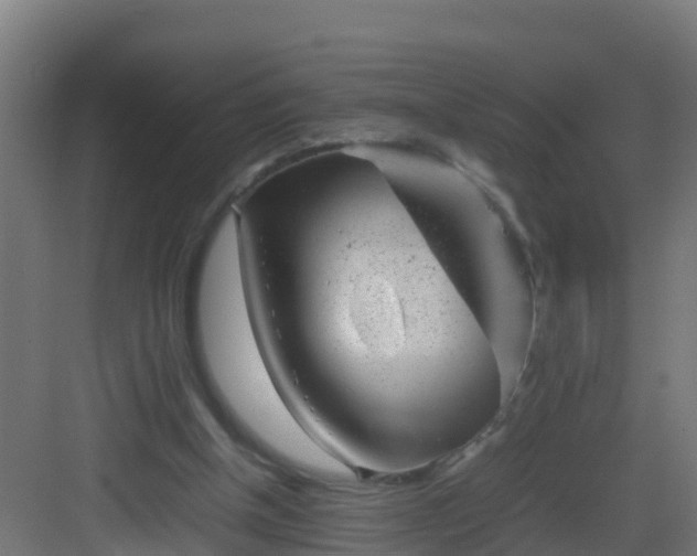 X0000082990154200702081843