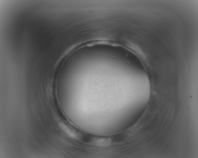 X0000082990155200702081843