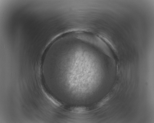 X0000082990156200702081843