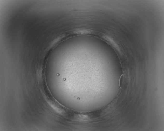 X0000082990159200702081843