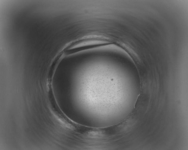 X0000082990160200702081843