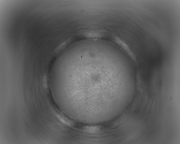 X0000082990161200702081843