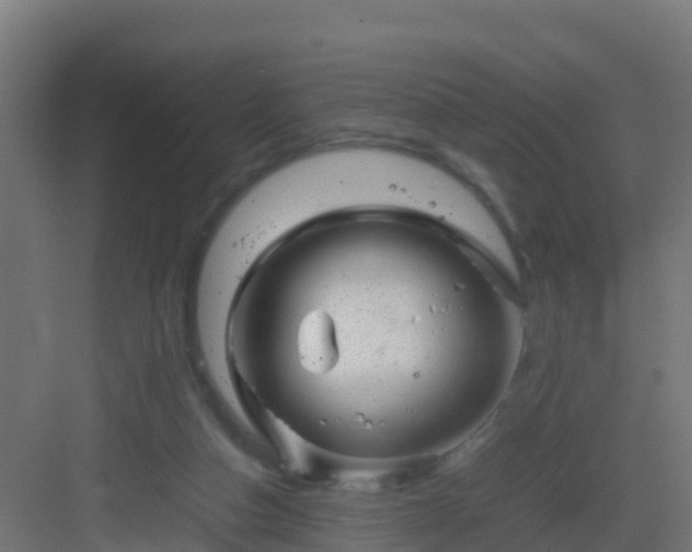 X0000082990162200702081843