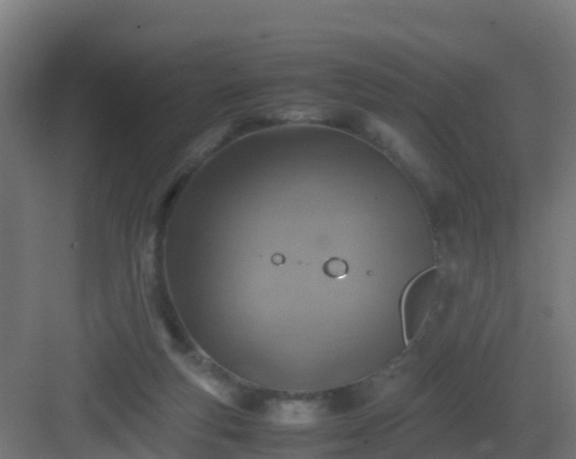 X0000082990163200702081843