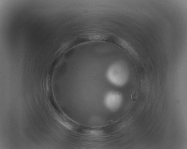 X0000082990165200702081843