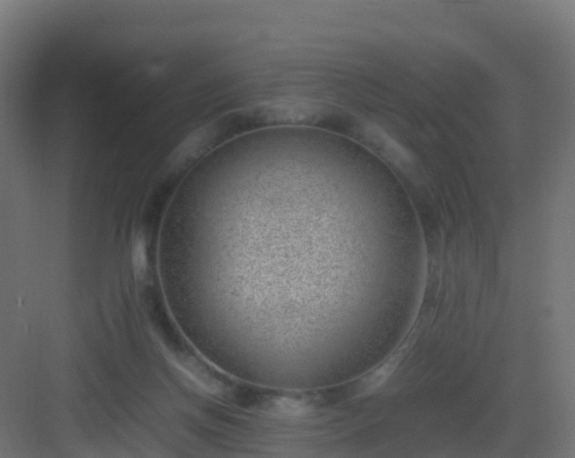 X0000082990166200702081843