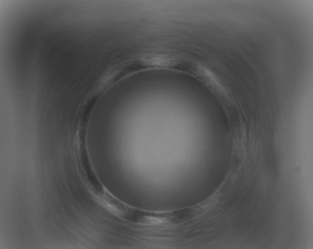 X0000082990167200702081843