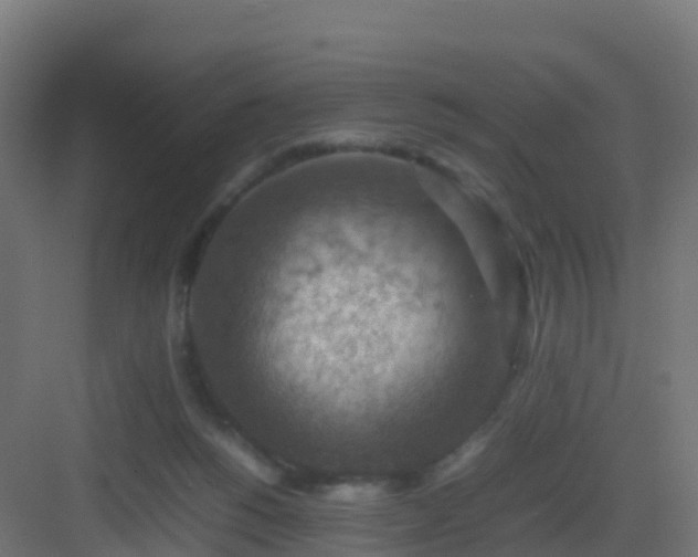 X0000082990168200702081844